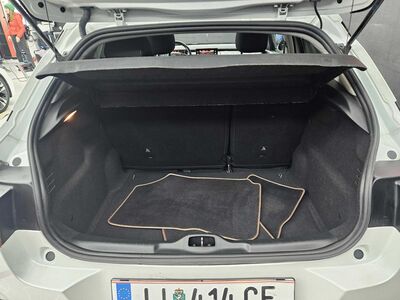 Citroën C4 Cactus Gebrauchtwagen