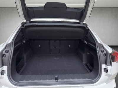 BMW iX2 Vorführwagen