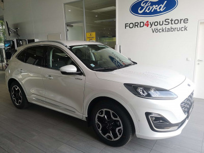 Ford Kuga Gebrauchtwagen