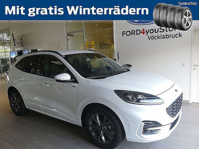 Ford Kuga Vorführwagen