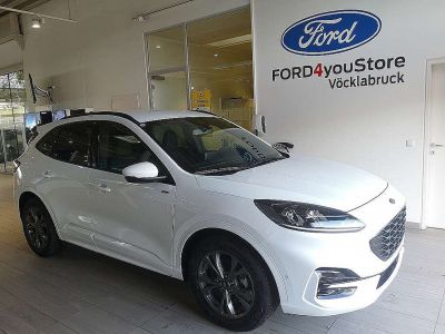 Ford Kuga Gebrauchtwagen