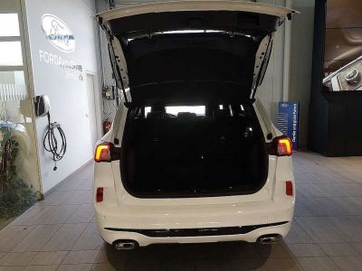 Ford Kuga Gebrauchtwagen