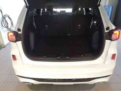 Ford Kuga Vorführwagen