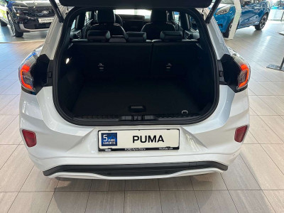Ford Puma Neuwagen
