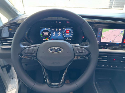 Ford Transit Connect Tageszulassung