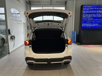 MG MG ZS Tageszulassung