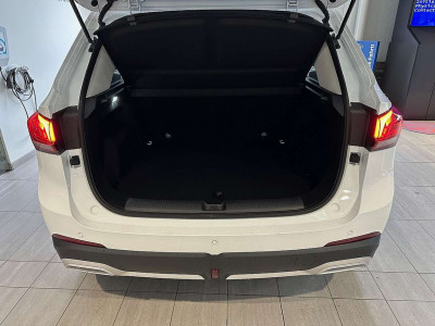 MG MG ZS Tageszulassung