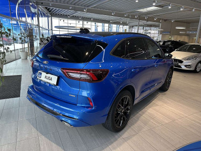 Ford Kuga Neuwagen