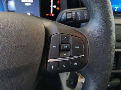 Ford Tourneo Courier Tageszulassung