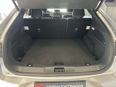 Ford Mustang Mach-E Gebrauchtwagen Ford Mustang Mach-E Gebrauchtwagen