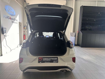 Ford Puma Gebrauchtwagen Ford Puma Gebrauchtwagen
