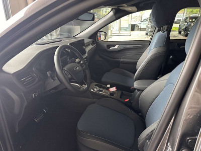 Ford Kuga Neuwagen