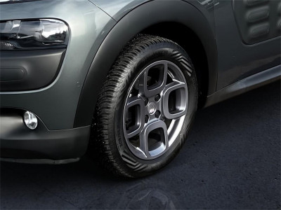 Citroën C4 Cactus Gebrauchtwagen