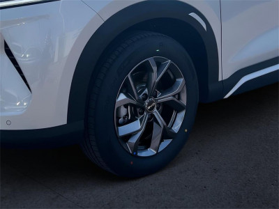 BYD Atto 2 Vorführwagen