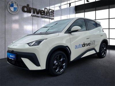 BYD Dolphin Vorführwagen