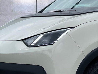 BYD Dolphin Vorführwagen