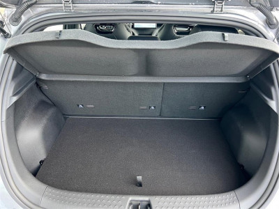 BYD Dolphin Vorführwagen