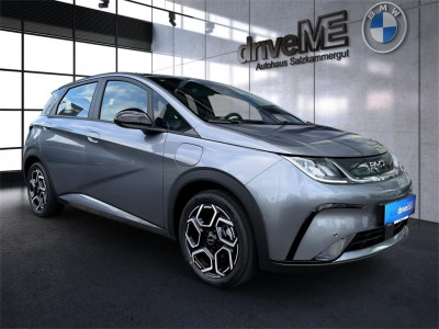 BYD Dolphin Vorführwagen