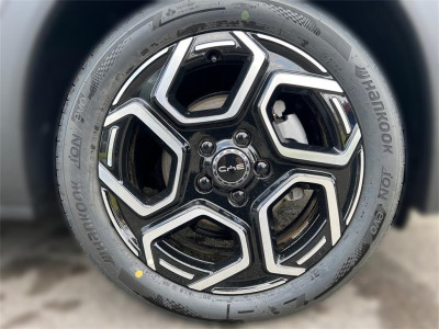 BYD Dolphin Vorführwagen