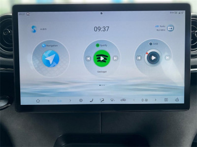 BYD Dolphin Vorführwagen