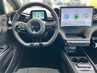 BYD Dolphin Vorführwagen