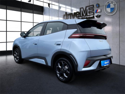 BYD Dolphin Surf Neuwagen