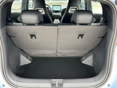 BYD Dolphin Surf Neuwagen