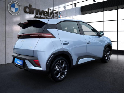 BYD Dolphin Surf Neuwagen