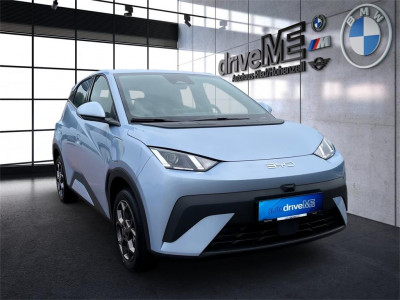 BYD Dolphin Surf Neuwagen