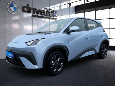 BYD Dolphin Surf Neuwagen