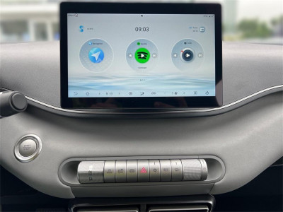 BYD Dolphin Surf Neuwagen