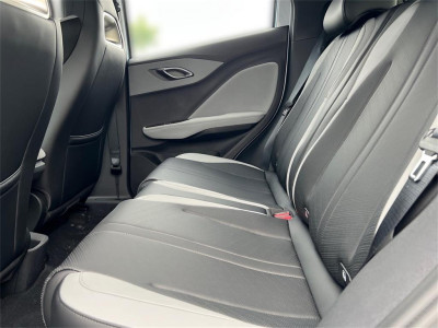 BYD Dolphin Surf Neuwagen