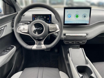 BYD Dolphin Surf Neuwagen