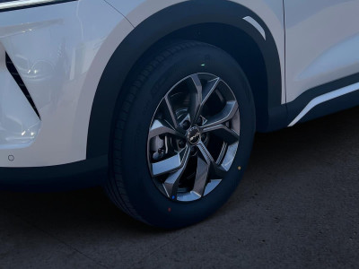 BYD Atto 2 Gebrauchtwagen BYD Atto 2 Gebrauchtwagen