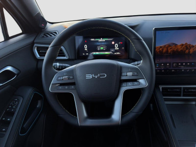 BYD Atto 2 Gebrauchtwagen