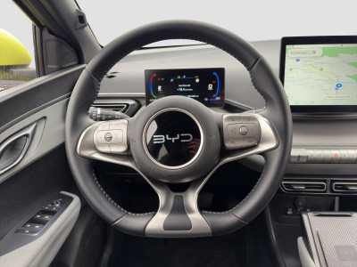 BYD Dolphin Gebrauchtwagen