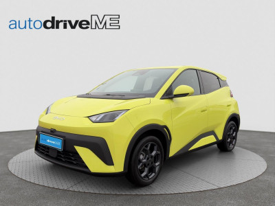 BYD Dolphin Gebrauchtwagen