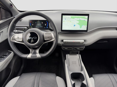 BYD Dolphin Gebrauchtwagen