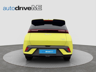 BYD Dolphin Gebrauchtwagen