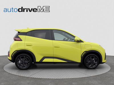 BYD Dolphin Gebrauchtwagen