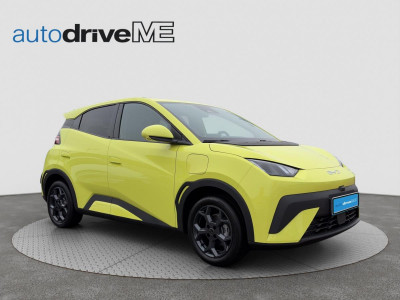 BYD Dolphin Gebrauchtwagen