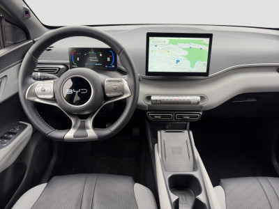 BYD Dolphin Surf Gebrauchtwagen