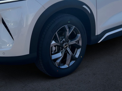 BYD Atto 2 Vorführwagen