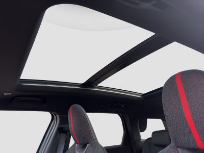 MINI Countryman Gebrauchtwagen