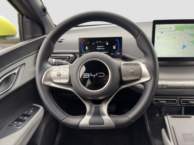 BYD Dolphin Surf Gebrauchtwagen