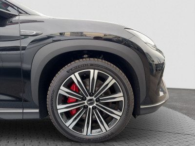 BYD Sealion 7 Neuwagen