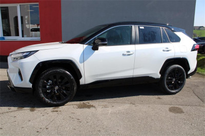 Toyota RAV4 Vorführwagen Toyota RAV4 Vorführwagen