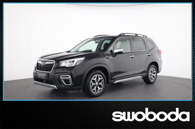 Subaru Forester Gebrauchtwagen