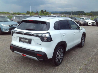 Suzuki S-Cross Vorführwagen