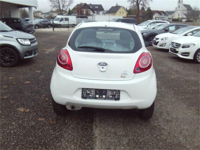 Ford Ka Gebrauchtwagen Ford Ka Gebrauchtwagen